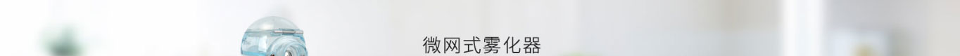 洛壹網絡網站案例