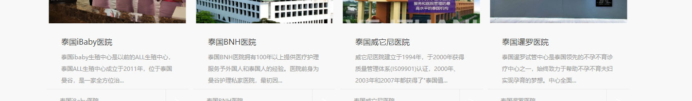 洛壹網絡網站案例