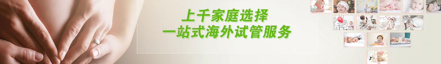洛壹網絡網站案例