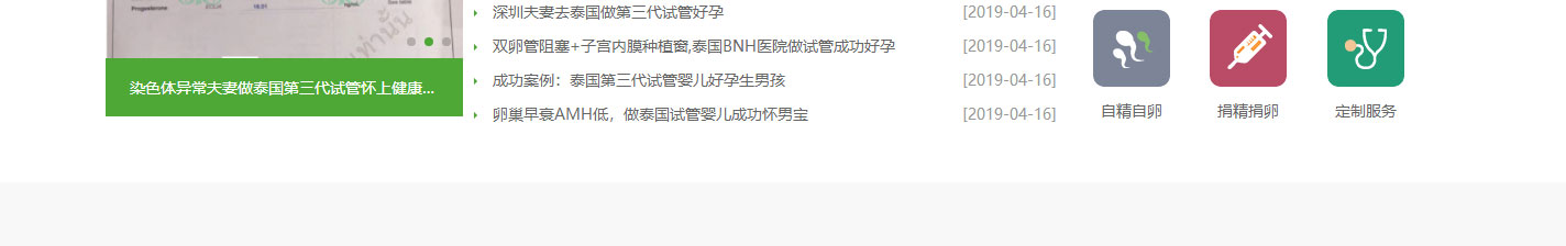 洛壹網絡網站案例