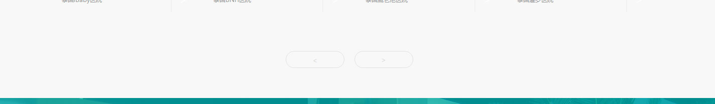 洛壹網絡網站案例