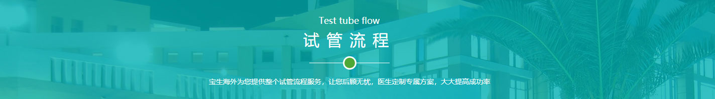洛壹網絡網站案例