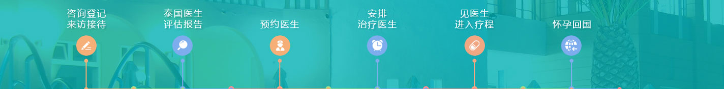 洛壹網絡網站案例