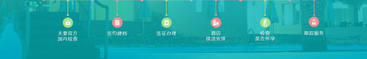 洛壹網絡網站案例