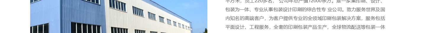 洛壹網絡網站案例
