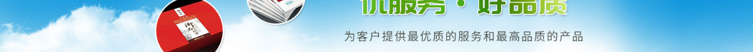 洛壹網絡網站案例