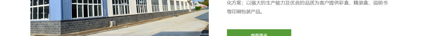 洛壹網絡網站案例