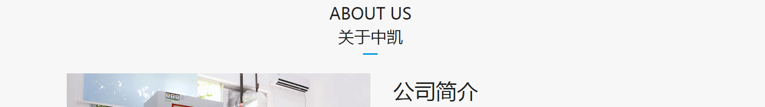 洛壹網絡網站案例