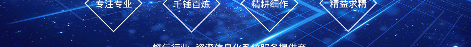 洛壹網絡網站建設案例