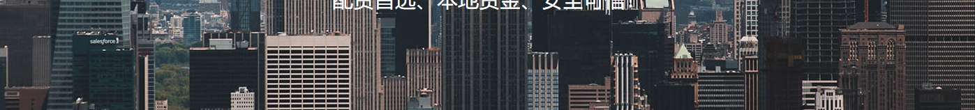 洛壹網絡網站案例