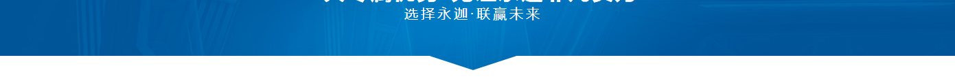 洛壹網絡網站案例