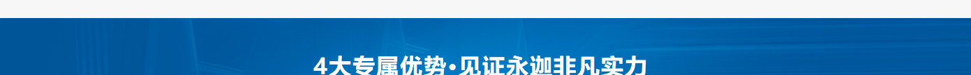 洛壹網絡網站案例