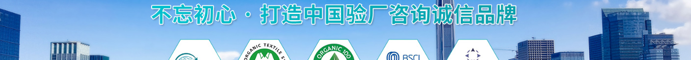 洛壹網絡網站案例