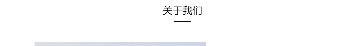 洛壹網絡網站案例