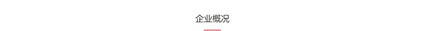 洛壹網絡網站案例