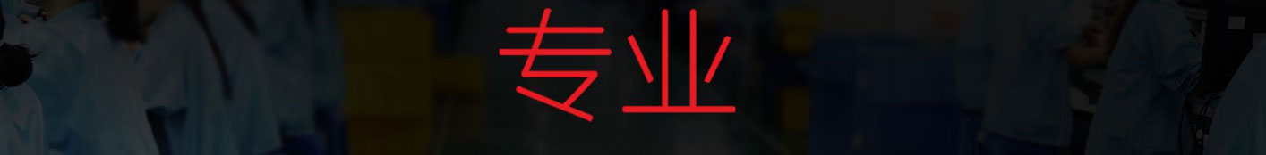 洛壹網絡網站案例