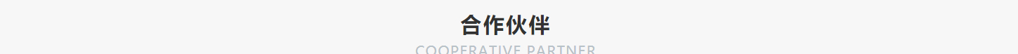 洛壹網絡網站案例