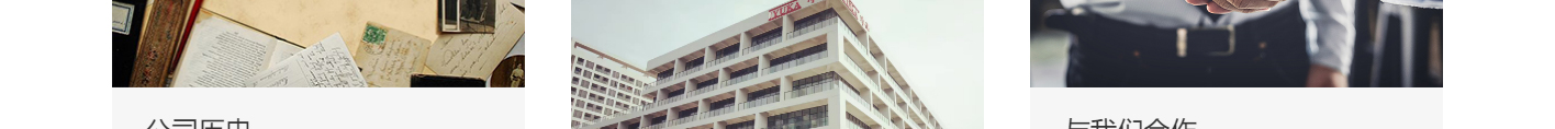 洛壹網絡網站案例