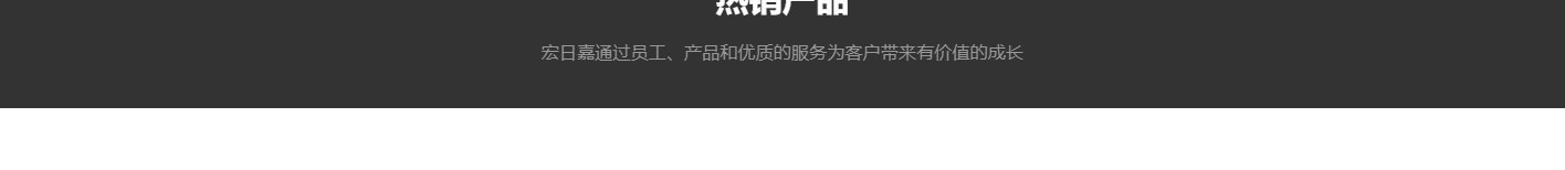 洛壹網絡網站案例