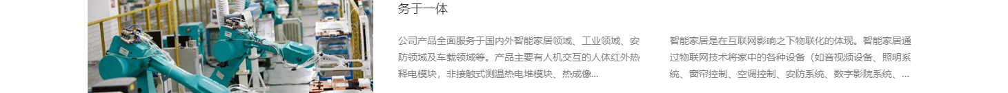洛壹網絡網站案例