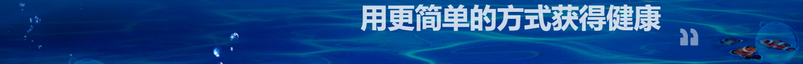 洛壹網絡網站案例