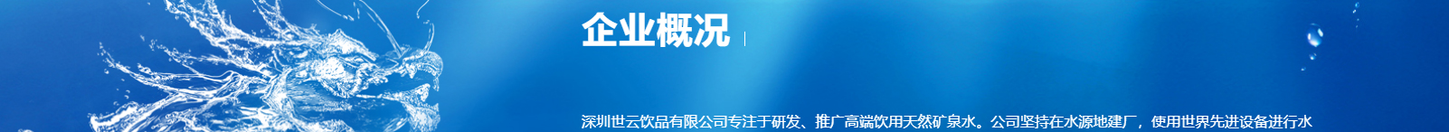 洛壹網絡網站案例