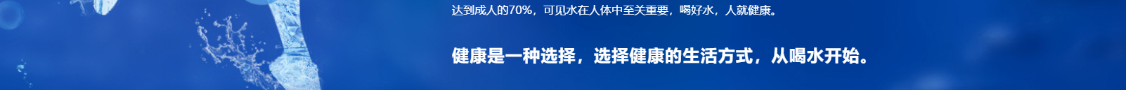 洛壹網絡網站案例