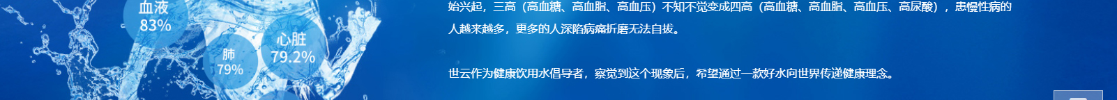 洛壹網絡網站案例