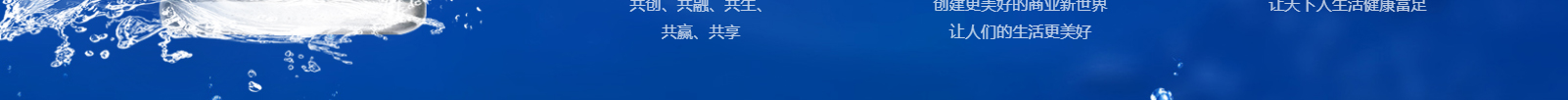 洛壹網絡網站案例