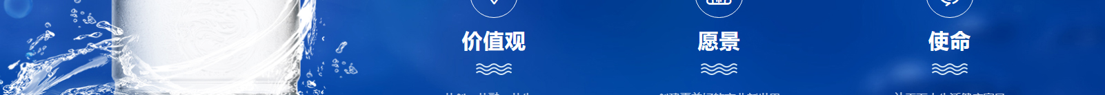 洛壹網絡網站案例