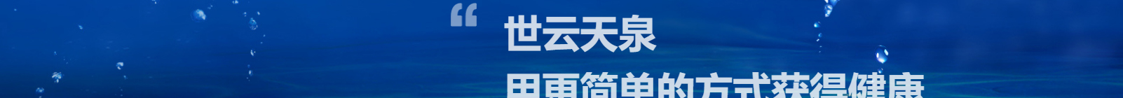 洛壹網絡網站案例