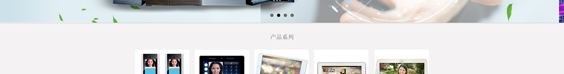 洛壹網絡網站案例