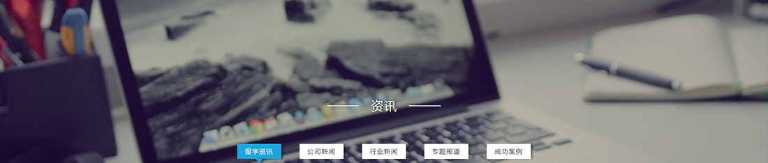 洛壹網絡網站案例