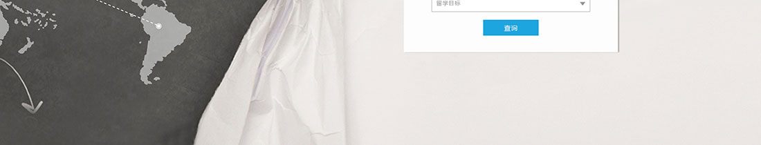洛壹網絡網站案例