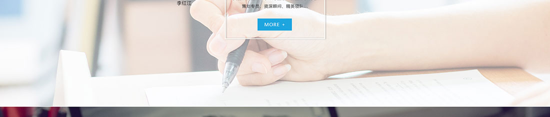 洛壹網絡網站案例