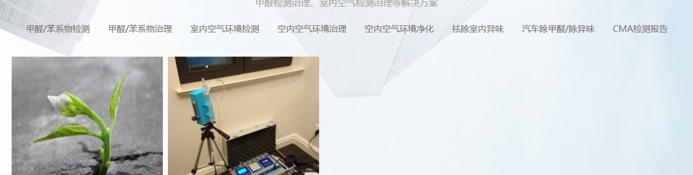 洛壹網絡網站案例