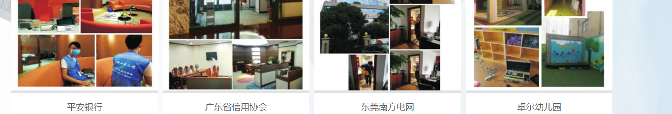 洛壹網絡網站案例
